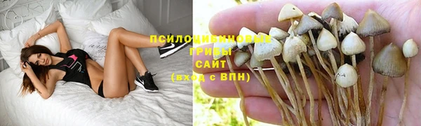 эйфоретик Абаза