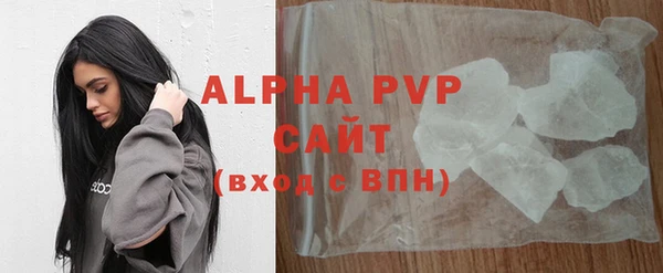 стафф Алексин