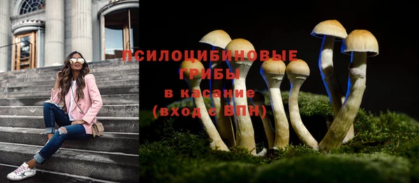 эйфоретик Абаза