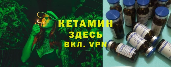 стафф Алексин