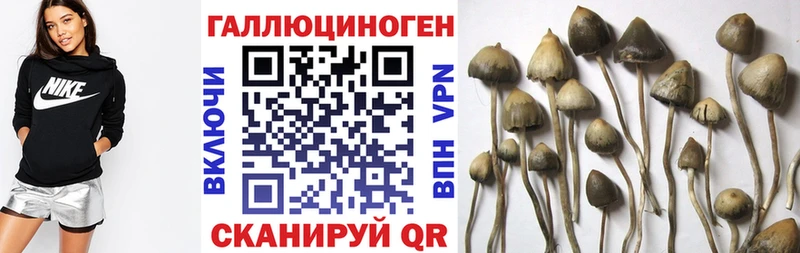 Псилоцибиновые грибы Psilocybine cubensis закладка Уварово
